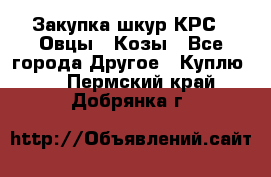 Закупка шкур КРС , Овцы , Козы - Все города Другое » Куплю   . Пермский край,Добрянка г.